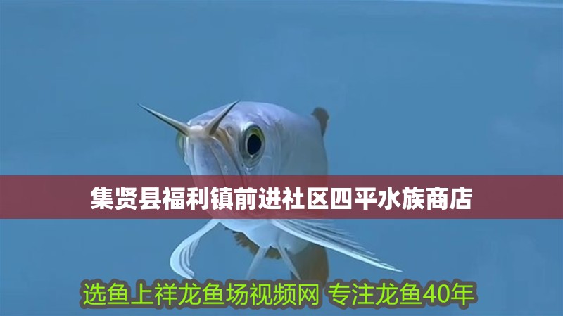 集賢縣福利鎮前進社區四平水族商店