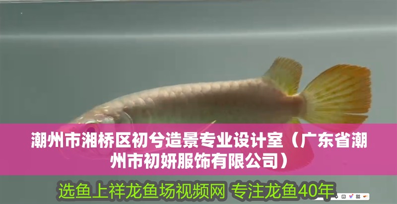 <strong><mark>潮州</mark></strong>市湘橋區初兮造景專業設計室（廣東省<strong><mark>潮州</mark></strong>市初妍服飾有限公司）