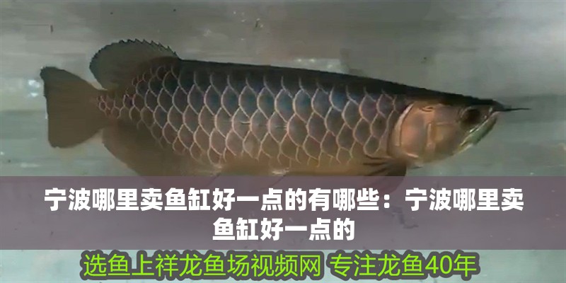 寧波哪里賣魚缸好一點的有哪些：寧波哪里賣魚缸好一點的