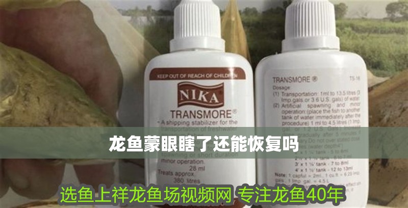 龍魚蒙眼瞎了還能恢復嗎