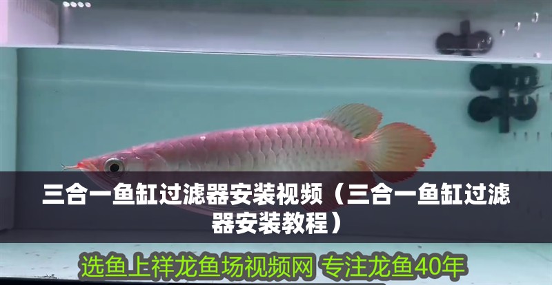 三合一魚缸過濾器安裝視頻（三合一魚缸過濾器安裝教程）