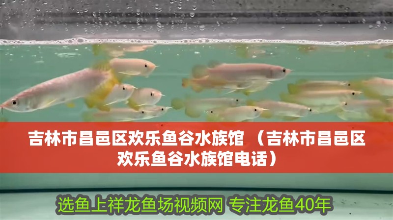 吉林市昌邑區(qū)歡樂(lè)魚谷水族館 （吉林市昌邑區(qū)歡樂(lè)魚谷水族館電話）