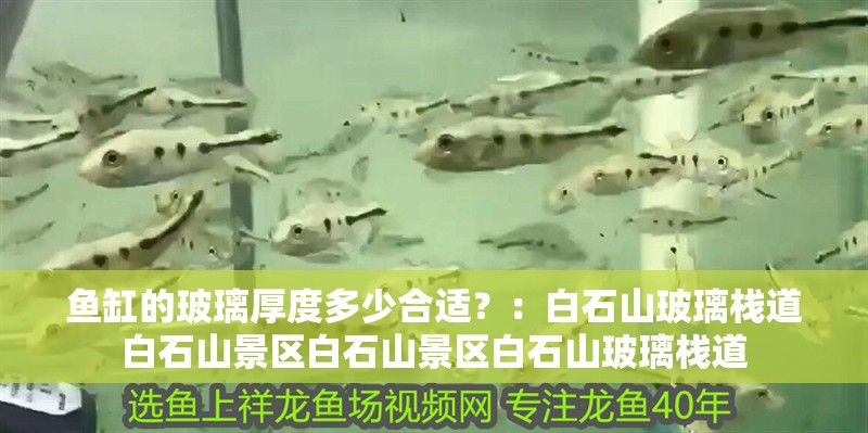 魚缸用增氧泵價格是多少:魚缸增氧機-xtrac增氧機-xtrac增氧機 魚缸的玻璃厚度多少合適?:白石山玻璃棧道白石山景區白石山景區白石山玻璃棧道 魚缸百科 魚缸的玻璃厚度多少合適?:白石山玻璃棧道白石山景區白石山景區白石山玻璃棧道 魚缸的玻璃厚度多少合適?:白石山玻璃棧道白石山景區白石山景區白石山玻璃棧道 魚缸百科