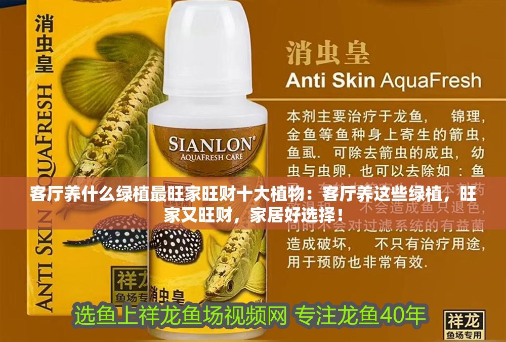 客廳養什么綠植最旺家旺財十大植物：客廳養這些綠植，旺家又旺財，家居好選擇！