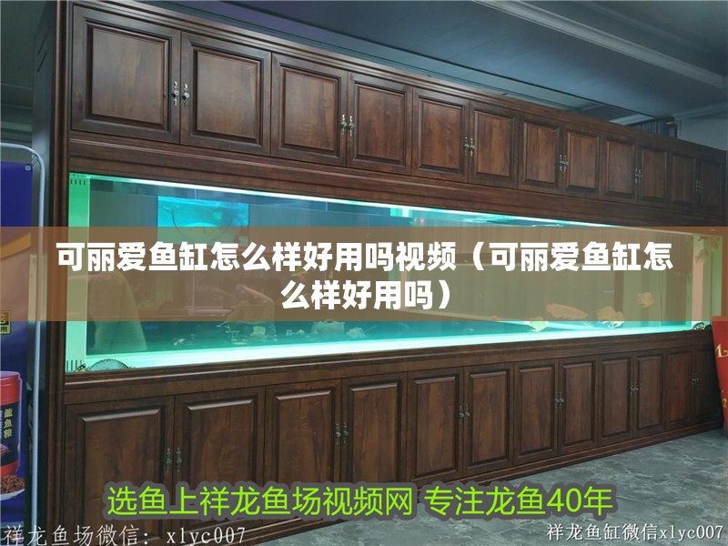 可麗愛魚缸怎么樣好用嗎視頻（可麗愛魚缸怎么樣好用嗎）