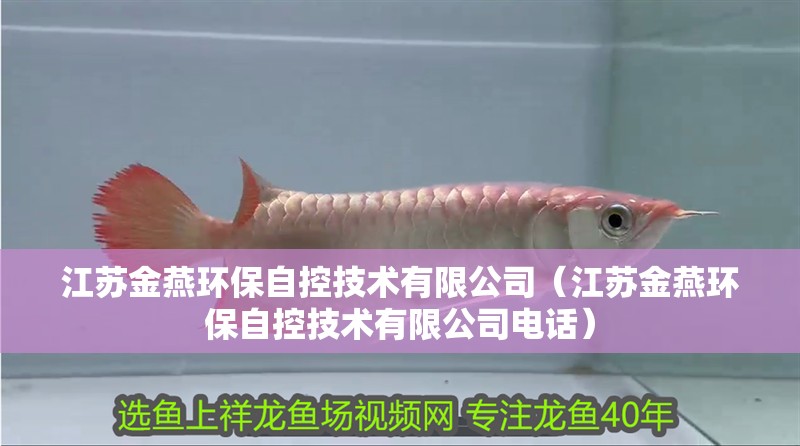 江蘇金燕環保自控技術有限公司（江蘇金燕環保自控技術有限公司電話）