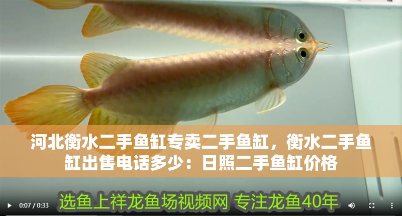 河北衡水二手魚缸專賣二手魚缸，衡水二手魚缸出售電話多少：日照二手魚缸價(jià)格