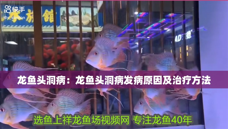 龍魚頭洞病：龍魚頭洞病發病原因及治療方法