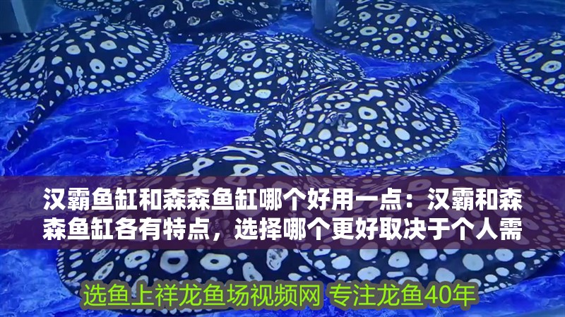 漢霸魚缸和森森魚缸哪個好用一點：漢霸和森森魚缸各有特點，選擇哪個更好取決于個人需求