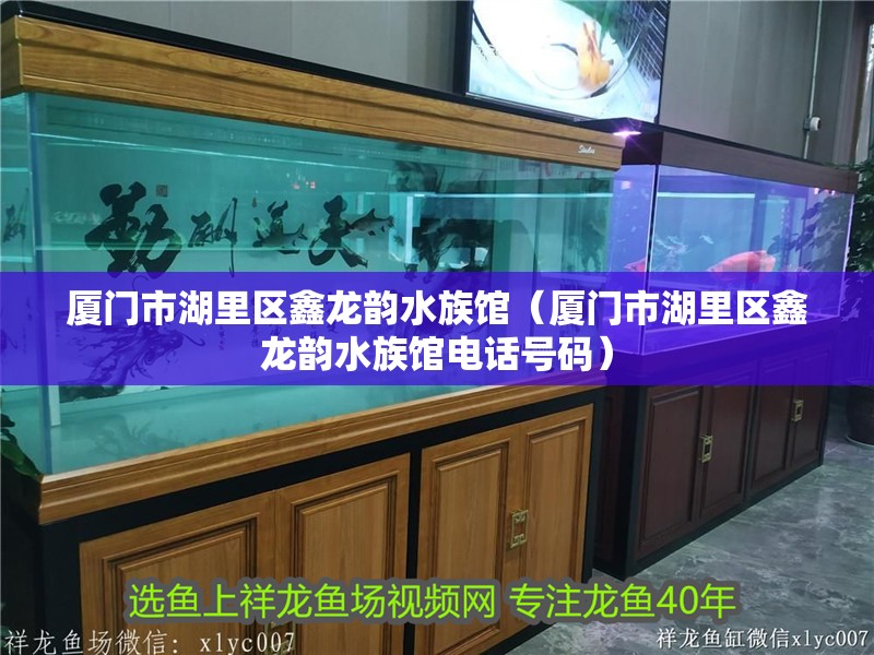 廈門市湖里區鑫龍韻水族館（廈門市湖里區鑫龍韻水族館電話號碼）