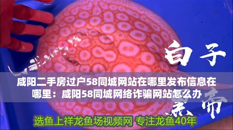 咸陽二手房過戶58同城網站在哪里發布信息在哪里：咸陽58同城網絡詐騙網站怎么辦