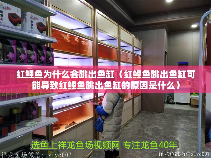 紅鯉魚為什么會跳出魚缸（紅鯉魚跳出魚缸可能導(dǎo)致紅鯉魚跳出魚缸的原因是什么） 紅鯉魚為什么會跳出魚缸（紅鯉魚跳出魚缸可能導(dǎo)致紅鯉魚跳出魚缸的原因是什么） 魚缸百科