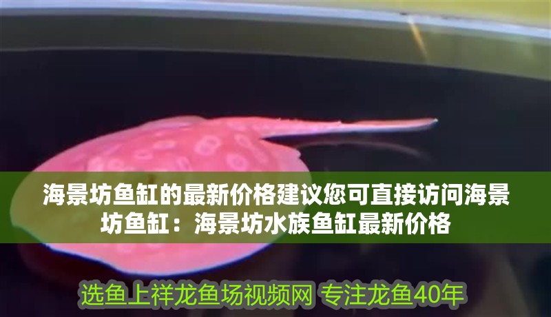 海景坊魚缸的最新價格建議您可直接訪問海景坊魚缸：海景坊水族魚缸最新價格 海景坊魚缸的最新價格建議您可直接訪問海景坊魚缸：海景坊水族魚缸最新價格 魚缸百科