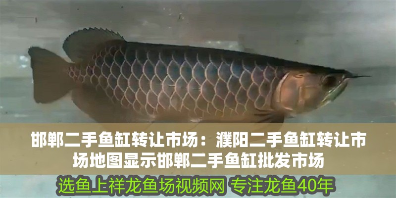 邯鄲二手魚缸轉(zhuǎn)讓市場(chǎng)：濮陽(yáng)二手魚缸轉(zhuǎn)讓市場(chǎng)地圖顯示邯鄲二手魚缸批發(fā)市場(chǎng)