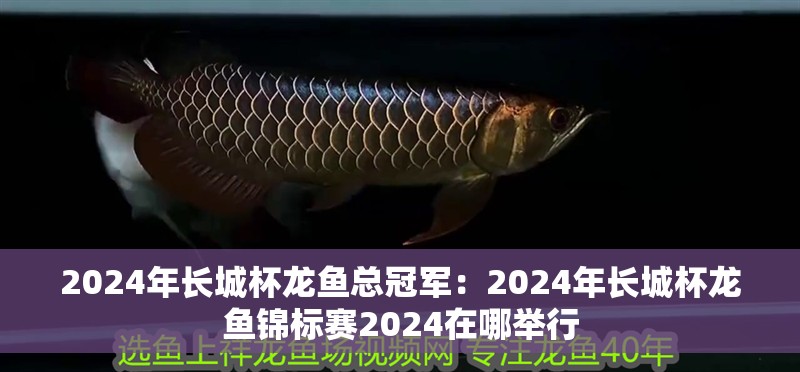 2024年長城杯龍魚總冠軍：2024年長城杯龍魚錦標賽2024在哪舉行