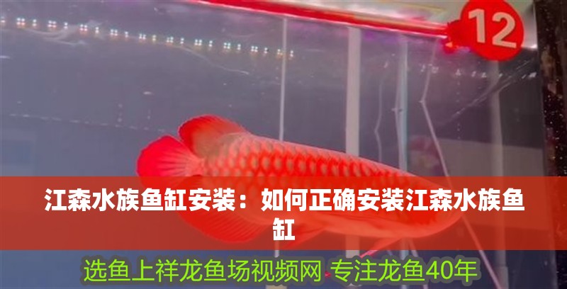 江森水族魚缸安裝：如何正確安裝江森水族魚缸