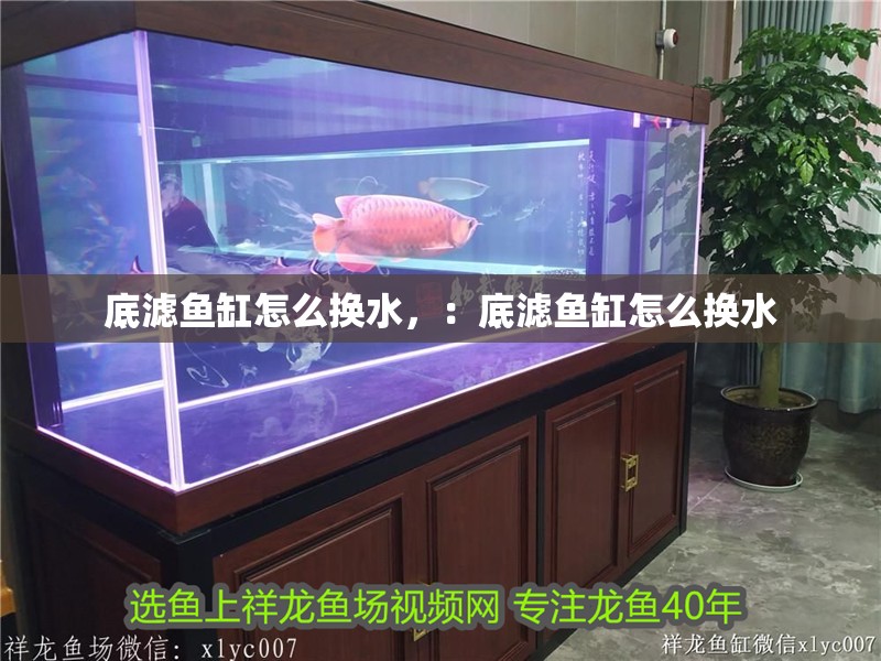 底濾魚缸怎么換水，：底濾魚缸怎么換水