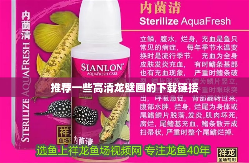 推薦一些高清龍壁畫的下載鏈接