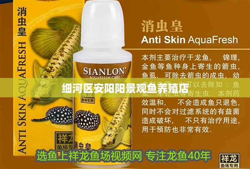 細河區安陽陽景觀魚養殖店