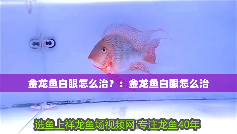 金龍魚白眼怎么治？：金龍魚白眼怎么治