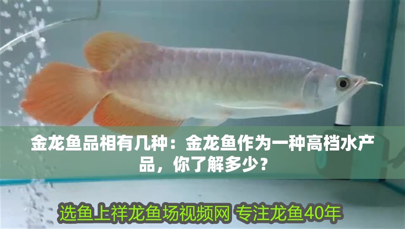 金龍魚品相有幾種：金龍魚作為一種高檔水產(chǎn)品，你了解多少？