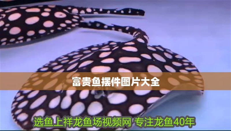 富貴魚擺件圖片大全