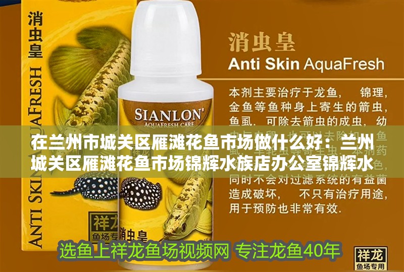 在蘭州市城關(guān)區(qū)雁灘花魚市場做什么好：蘭州城關(guān)區(qū)雁灘花魚市場錦輝水族店辦公室錦輝水族店