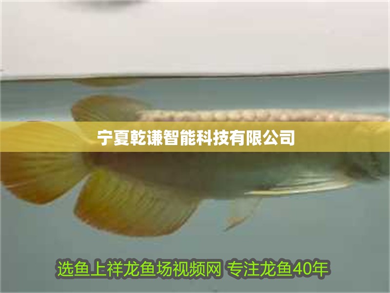 寧夏乾謙智能科技有限公司