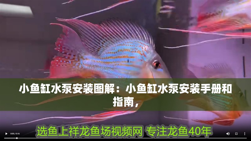 小魚缸水泵安裝圖解：小魚缸水泵安裝手冊和指南，