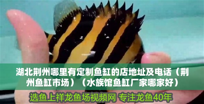 湖北荊州哪里有定制魚缸的店地址及電話（荊州魚缸市場）（水族館魚缸廠家哪家好）