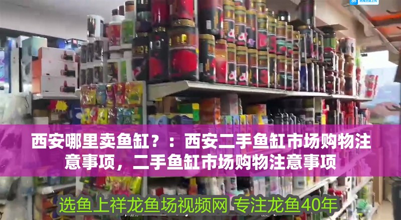 西安哪里賣魚缸？：西安二手魚缸市場購物注意事項，二手魚缸市場購物注意事項 西安哪里賣魚缸？：西安二手魚缸市場購物注意事項，二手魚缸市場購物注意事項 魚缸百科