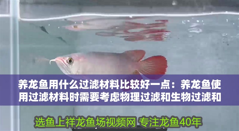 養(yǎng)龍魚(yú)用什么過(guò)濾材料比較好一點(diǎn)：養(yǎng)龍魚(yú)使用過(guò)濾材料時(shí)需要考慮物理過(guò)濾和生物過(guò)濾和生物過(guò)濾等方面