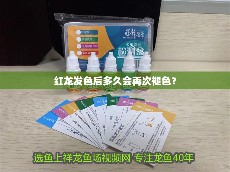 紅龍發(fā)色后多久會(huì)再次褪色？