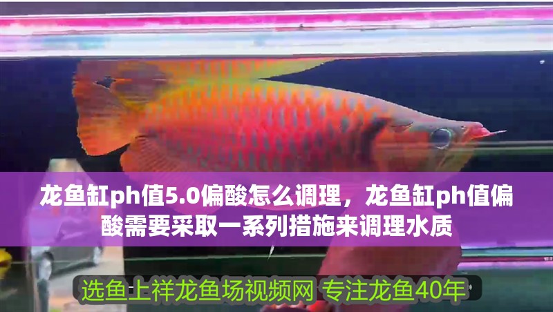 龍魚缸ph值5.0偏酸怎么調理，龍魚缸ph值偏酸需要采取一系列措施來調理水質