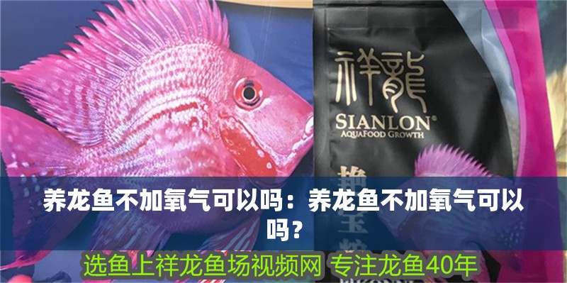 養龍魚不加氧氣可以嗎：養龍魚不加氧氣可以嗎？
