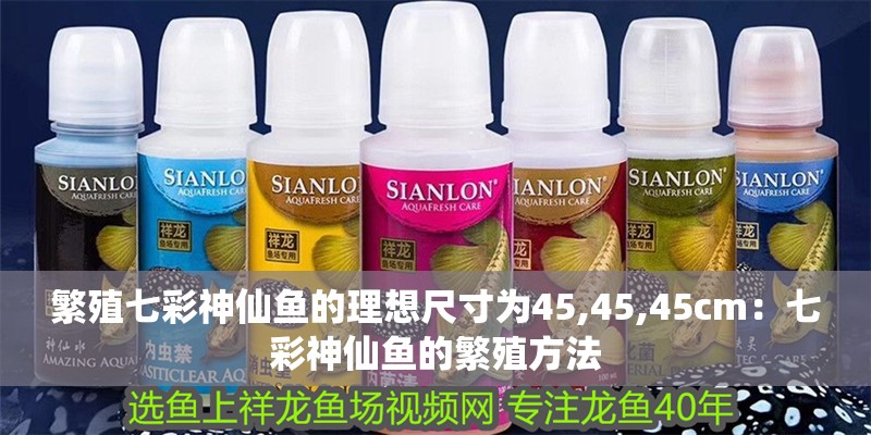 繁殖七彩神仙魚的理想尺寸為45,45,45cm：七彩神仙魚的繁殖方法 繁殖七彩神仙魚的理想尺寸為45,45,45cm：七彩神仙魚的繁殖方法 魚缸百科