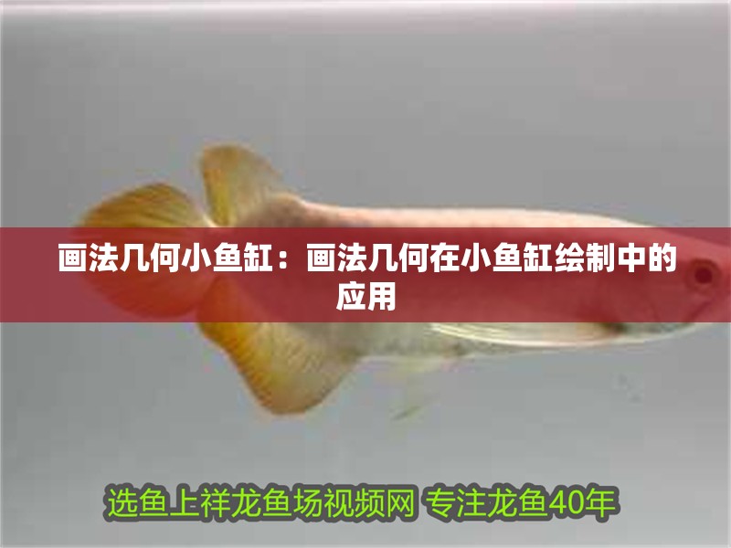 畫法幾何小魚缸：畫法幾何在小魚缸繪制中的應用