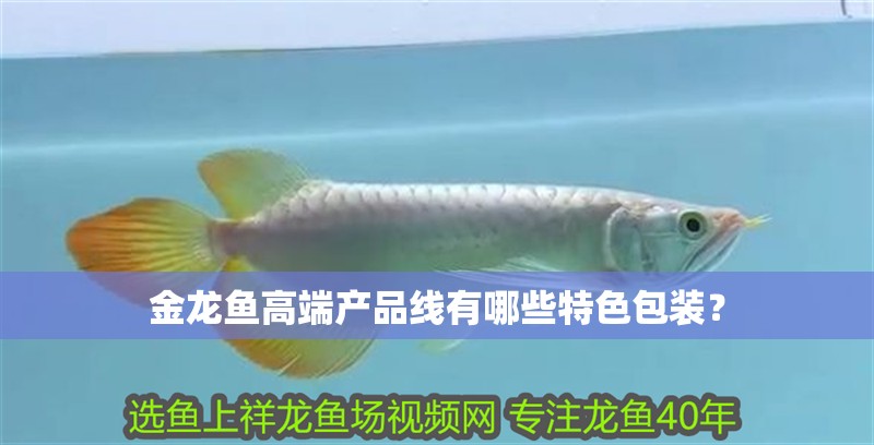 金龍魚高端產(chǎn)品線有哪些特色包裝？