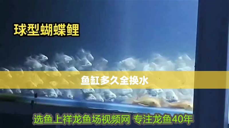 魚缸多久全換水