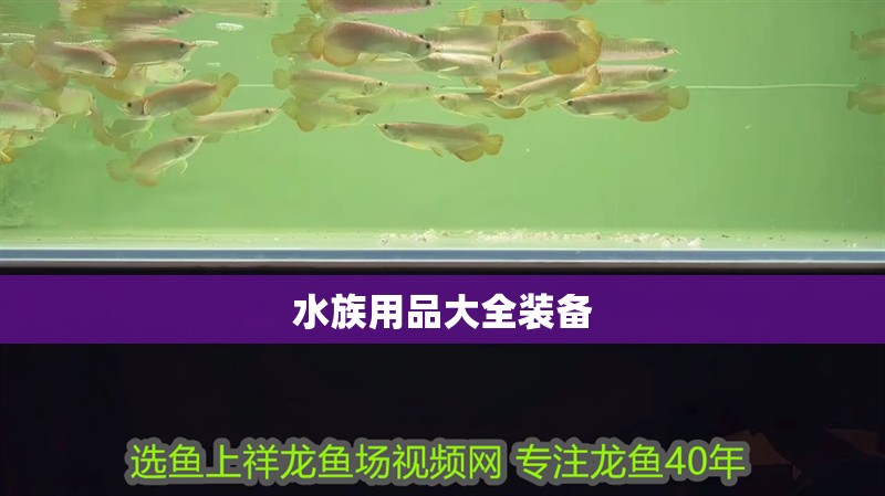水族用品大全裝備
