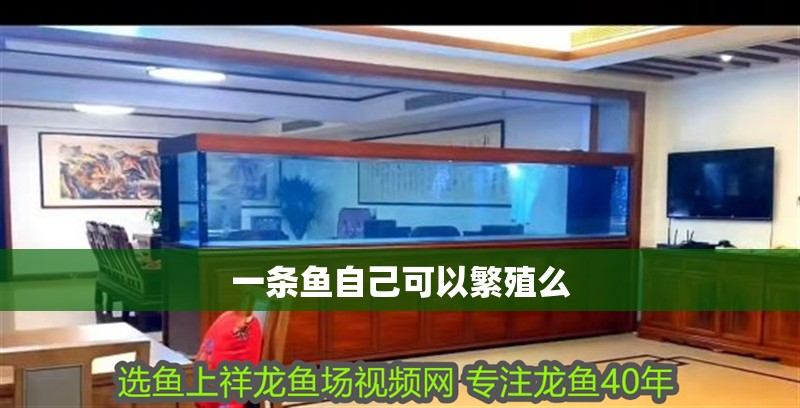 一條魚自己可以繁殖么 一條魚自己可以繁殖么 龍魚論壇