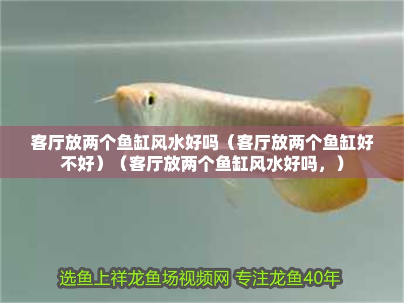 客廳放兩個魚缸風水好嗎（客廳放兩個魚缸好不好）（客廳放兩個魚缸風水好嗎，）