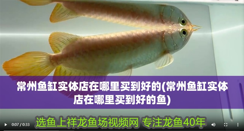 <strong><mark>常州</mark></strong>魚缸實體店在哪里買到好的(<strong><mark>常州</mark></strong>魚缸實體店在哪里買到好的魚)