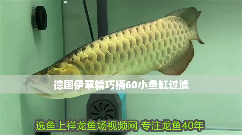 德國伊罕精巧桶60小魚缸過濾