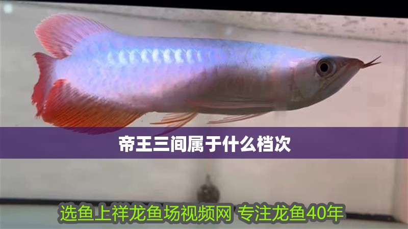 帝王三間屬于什么檔次