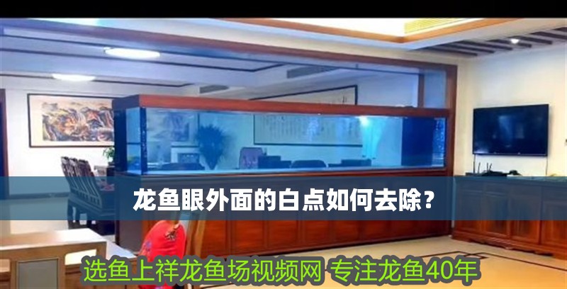 龍魚眼外面的白點如何去除？