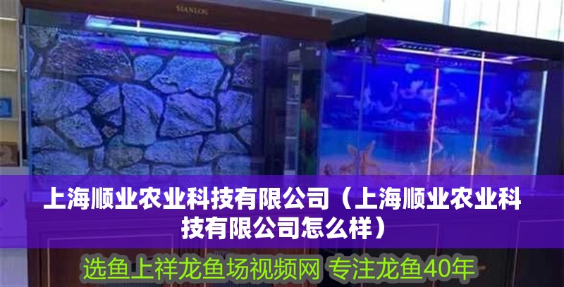 上海順業(yè)農(nóng)業(yè)科技有限公司（上海順業(yè)農(nóng)業(yè)科技有限公司怎么樣）