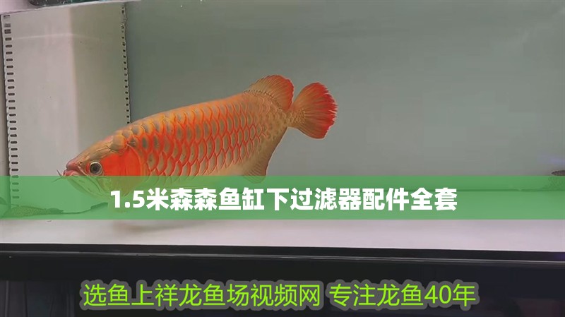 1.5米森森魚缸下過濾器配件全套