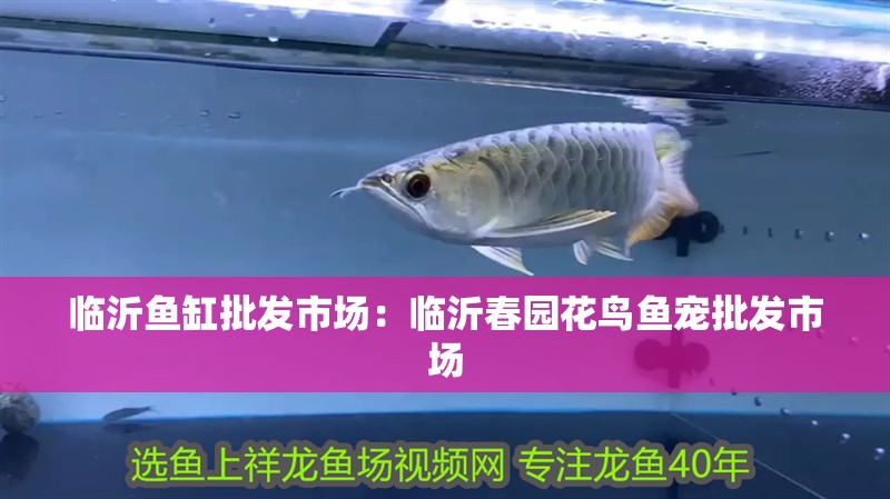 臨沂魚(yú)缸批發(fā)市場(chǎng)：臨沂春園花鳥(niǎo)魚(yú)寵批發(fā)市場(chǎng)
