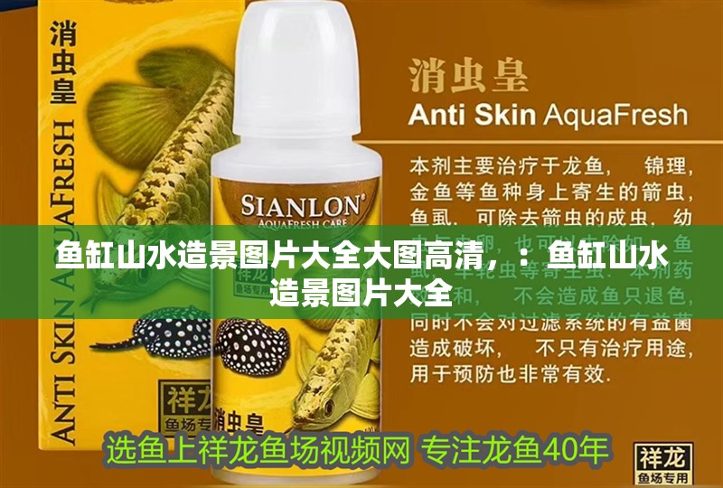 魚缸山水造景圖片大全大圖高清，：魚缸山水造景圖片大全